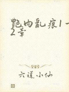 艳肉乱痕1一12章封面