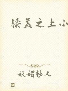 膝盖之上小说封面