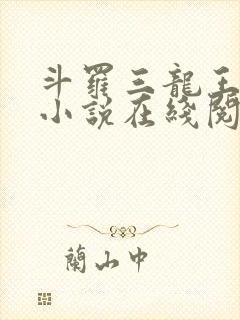 斗罗三龙王传说小说在线阅读