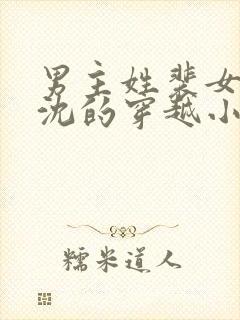 男主姓裴女主姓沈的穿越小说封面