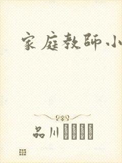 家庭教师小说封面