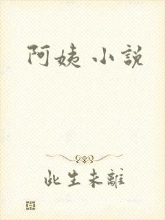 阿姨 小说