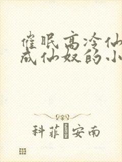 催眠高冷仙奴变成仙奴的小说