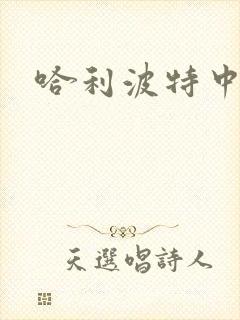 哈利波特中文版