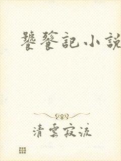 饕餮记小说封面