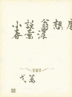 小说 翁想房中春意浓