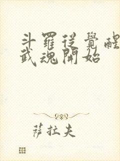 斗罗从觉醒朱雀武魂开始