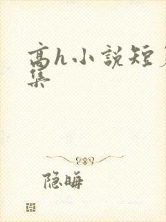 高h小说短篇合集