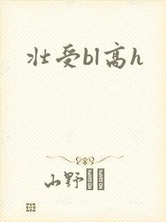 壮受bl高h