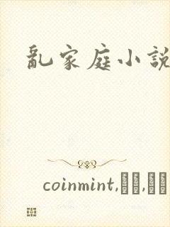 乱家庭小说封面