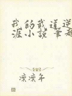 我的武道逆袭生涯小说 笔趣阁