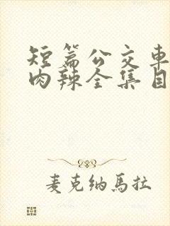 短篇公交车高h肉辣全集目录