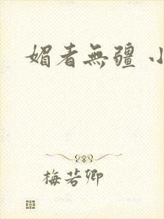 媚者无疆 小说封面