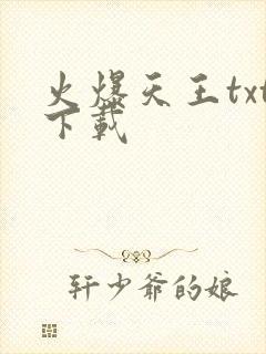 火爆天王txt下载封面