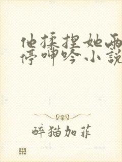 他揉捏她两乳不停呻吟小说封面