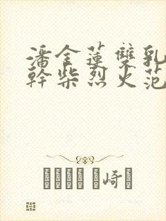 潘金莲双乳晃动干柴烈火范仲淹著封面