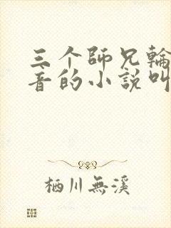 三个师兄轮流上音的小说叫什么