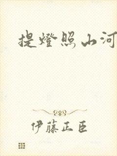 提灯照山河封面