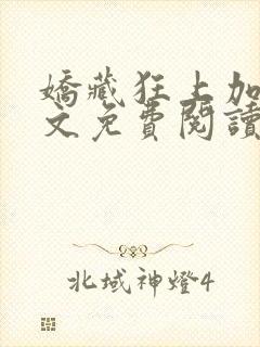 娇藏狂上加狂全文免费阅读笔趣阁