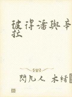 彼得潘与辛德瑞拉封面