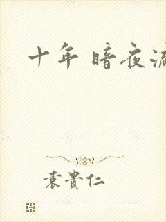 十年 暗夜流光封面