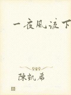 一夜风流下载