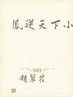 凤逆天下小说