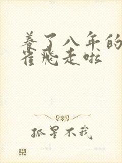 养了八年的金丝雀飞走啦