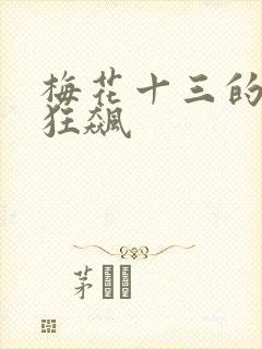 梅花十三的乳液狂飙