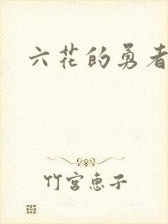 六花的勇者小说封面