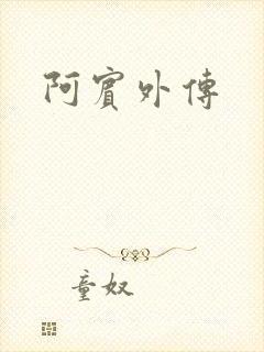 阿宾外传