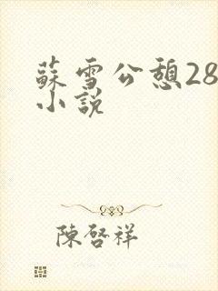 苏雪公憩28篇小说