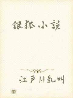 银狐小说