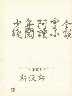 少年阿宾全文在线阅读小说