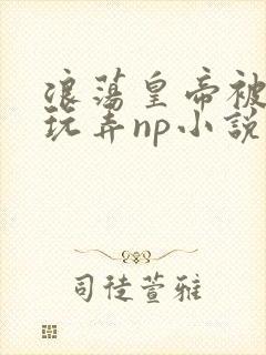 浪荡皇帝被多人玩弄np小说封面