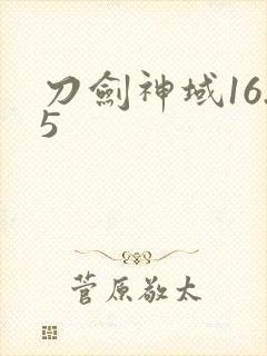 刀剑神域16.5