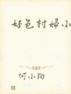 好色村妇小银贼