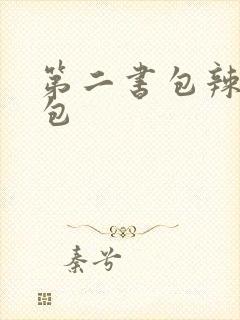 第二书包辣荷花包封面