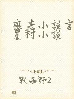 恋老小说言情网农村小说