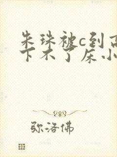 朱珠被c到高潮下不了床小说