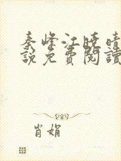 秦峰江晓晴的小说免费阅读封面