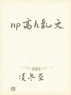 np高h乱文