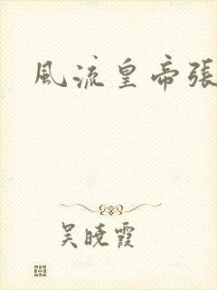 风流皇帝张无忌