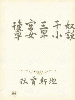 后宫三千奴 男尊女卑小说封面