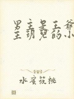 男主是王爷叫女主玥儿的小说