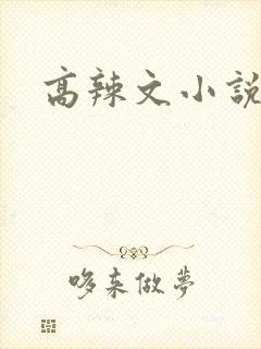 高辣文小说