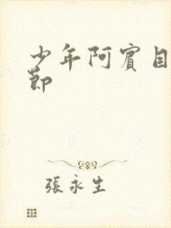 少年阿宾目录章节