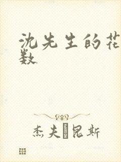 沈先生的花式调数