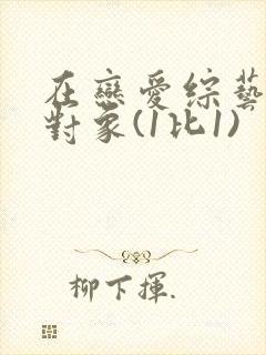 在恋爱综艺里搞对象(1比1)