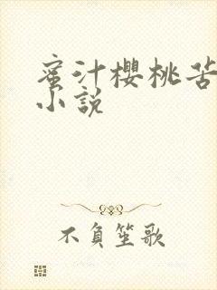 蜜汁樱桃苦咖啡小说